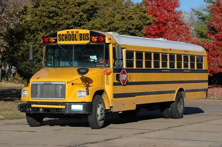 Mountain View 47 Passenger School Bus
