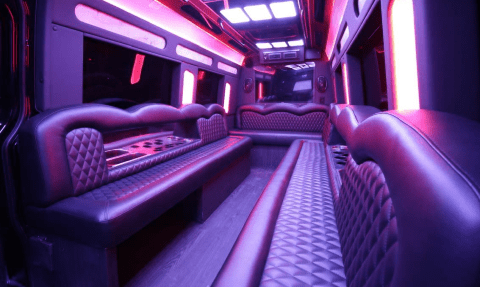 Folsom 14 Passenger Sprinter Bus Interior
